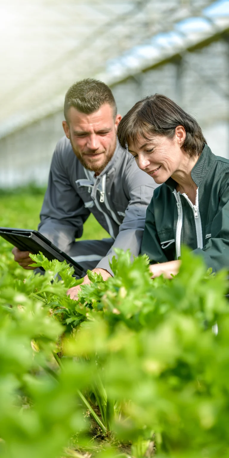 Two small business owners using a tablet to monitor crops—illustrating how Scorpion Five Technologies delivers reliable small business cloud solutions that empower smarter operations from any location.