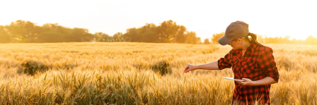 Small business owner using cloud-connected technology in the field—demonstrating how Scorpion Five Technologies supports small business with scalable cloud solutions, even in remote locations.